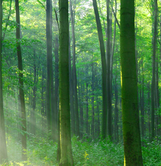 中国·银河8366cc(股份)有限公司-官方网站