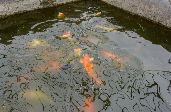 中国·银河8366cc(股份)有限公司-官方网站