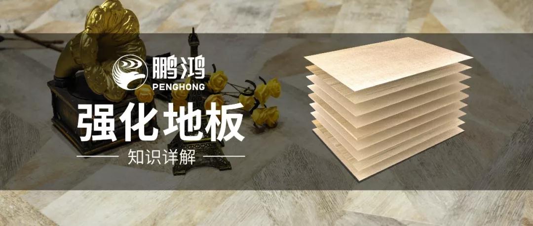 银河8366cc强化地板知识