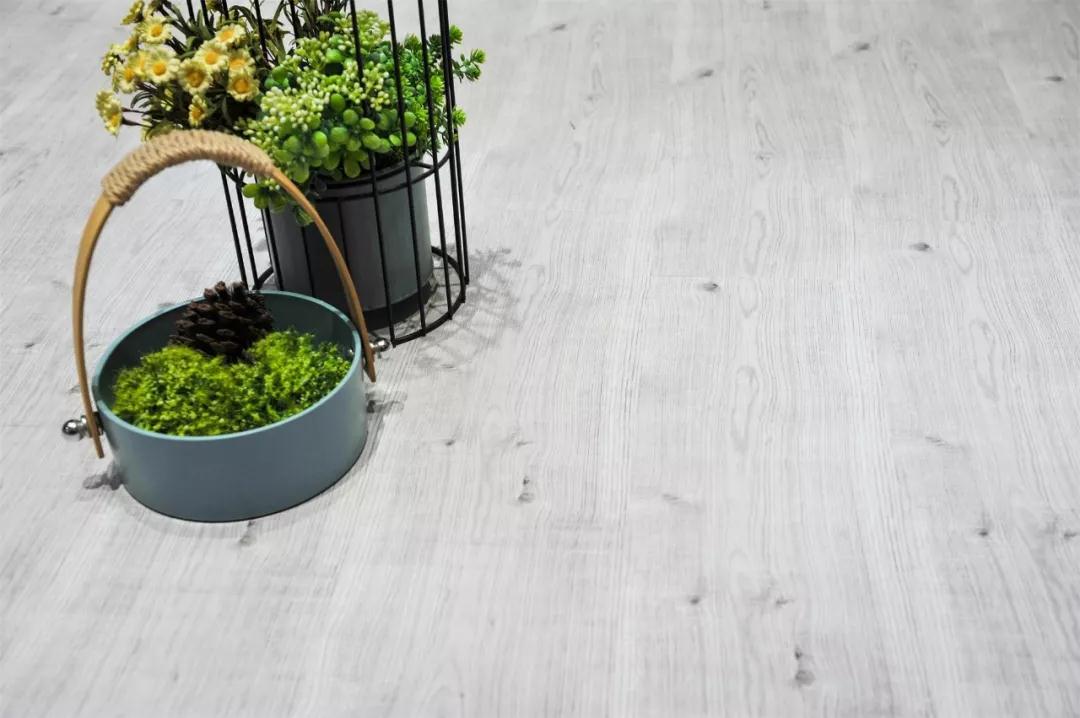 银河8366cc强化地板伊丽莎白系列-5806