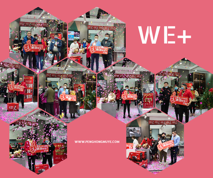 突破百单，，，银河8366ccWe+定制家居夺魁沈阳家博会