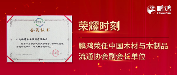 再获行业肯定，，，银河8366cc荣任中国木料与木制品流通协会副会长