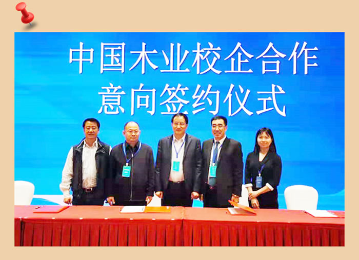 银河8366cc与中国木业相助