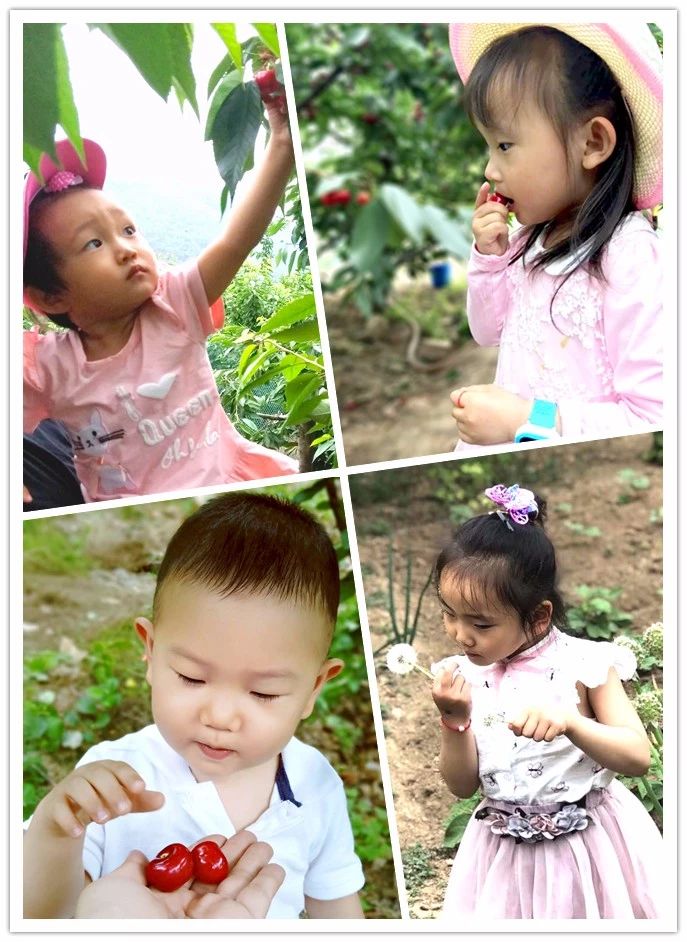 中国·银河8366cc(股份)有限公司-官方网站