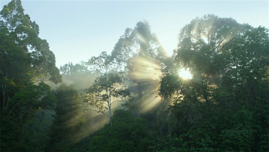 中国·银河8366cc(股份)有限公司-官方网站