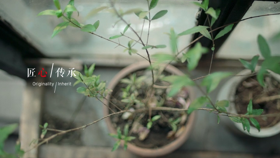 中国·银河8366cc(股份)有限公司-官方网站