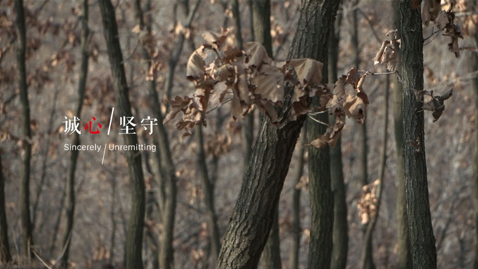 中国·银河8366cc(股份)有限公司-官方网站